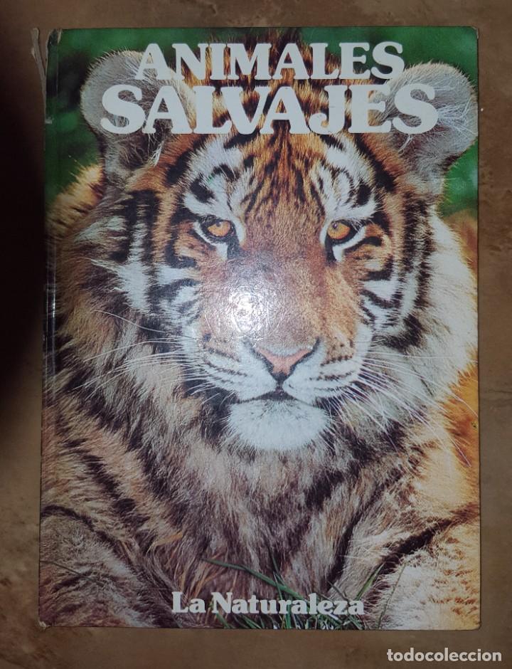 Libros de segunda mano: Animales salvajes - Foto 1