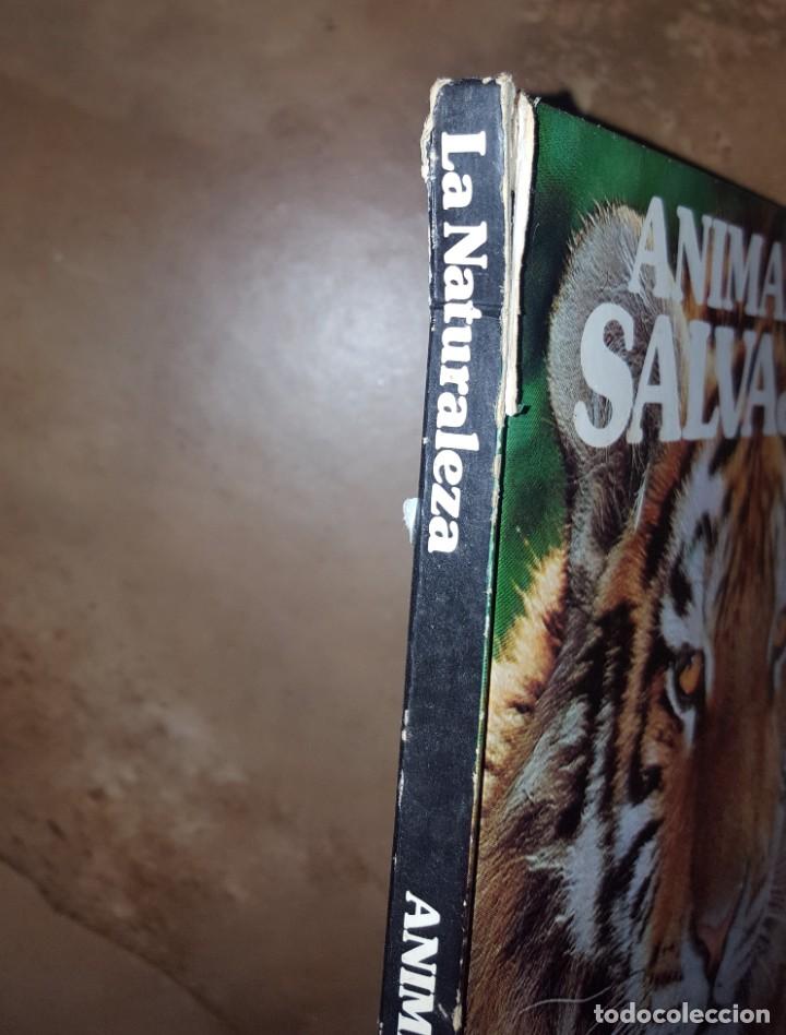 Libros de segunda mano: Animales salvajes - Foto 2