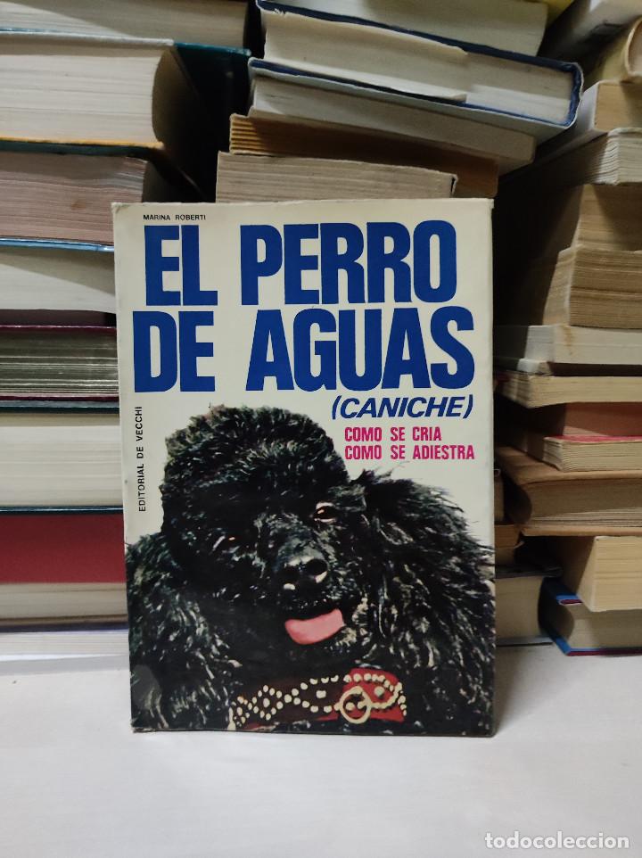 Libros de segunda mano: EL PERRO DE AGUAS MARINA ROBERTI - Foto 1