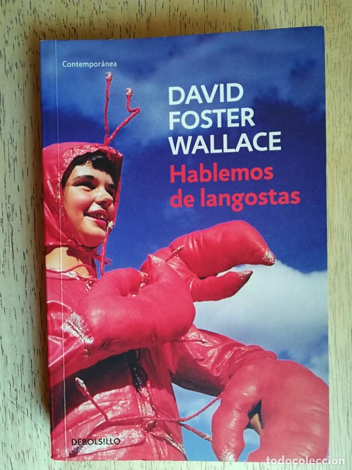 Libros de segunda mano: Hablemos de langostas. David Foster wallace - Foto 1