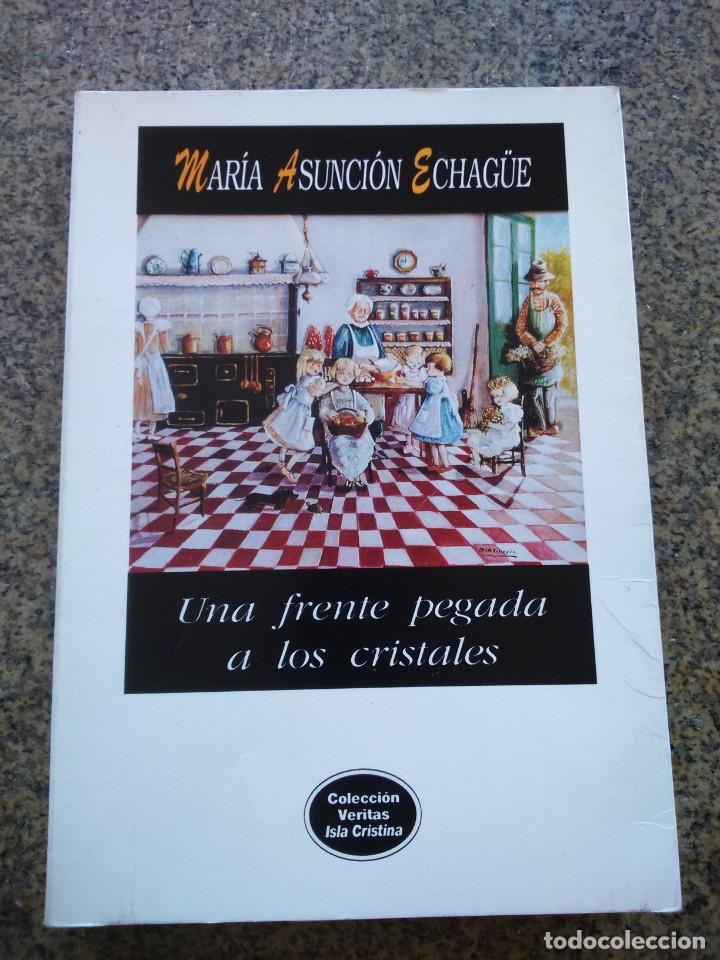 Libros de segunda mano: UNA FRENTE PEGADA A LOS CRISTALES -- MARIA ASUNCION ECHAGUE -- 1991 --