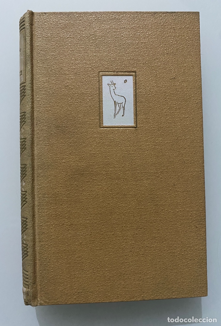 Libros de segunda mano: Villa Beatrice - CICOGNANI, Bruno - Foto 1