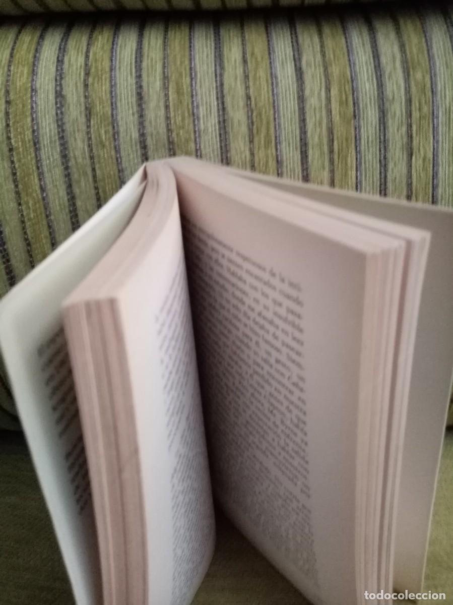 Libros de segunda mano: CUENTOS DE TERROR grijalbo - Foto 7
