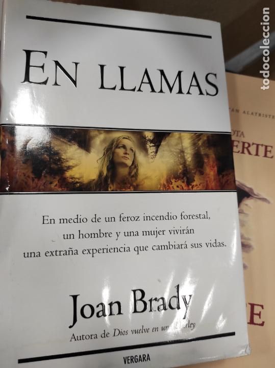 Libros de segunda mano: En llamas. Joan Brady. - Foto 1