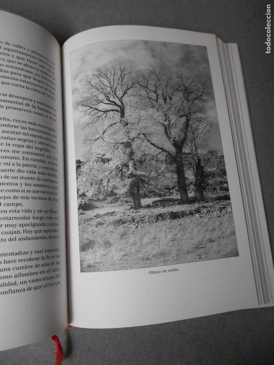 Libros de segunda mano: VISIONES DE ESPA&Ntilde;A - Foto 14