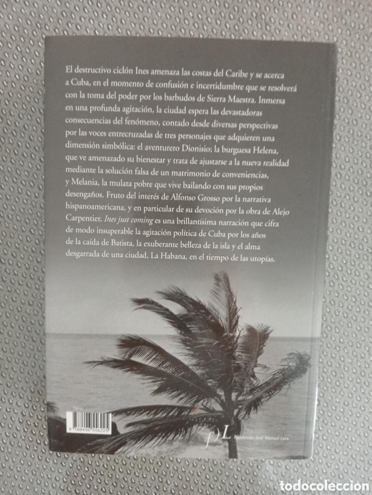 Libros de segunda mano: Ines just coming / Alfonso Grosso - Foto 3