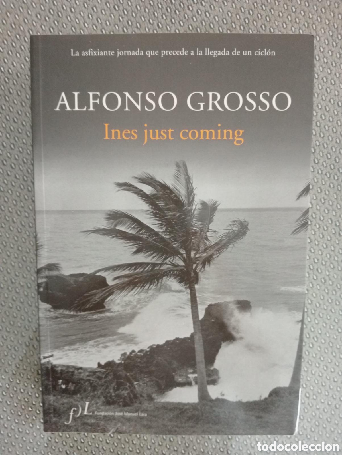 Libros de segunda mano: Ines just coming / Alfonso Grosso - Foto 1