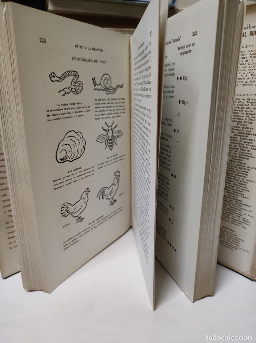 Libros de segunda mano: SCHEINFELD - USTED Y LA HERENCIA - Foto 3