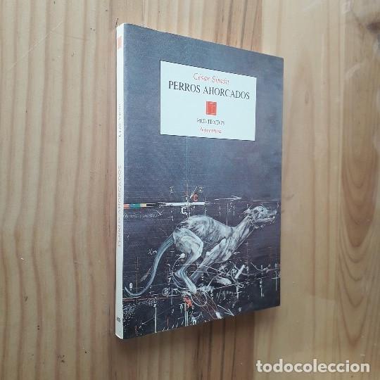 Libros de segunda mano: PERROS AHORCADOS: DIARIO - CES&Aacute;R SIM&Oacute;N