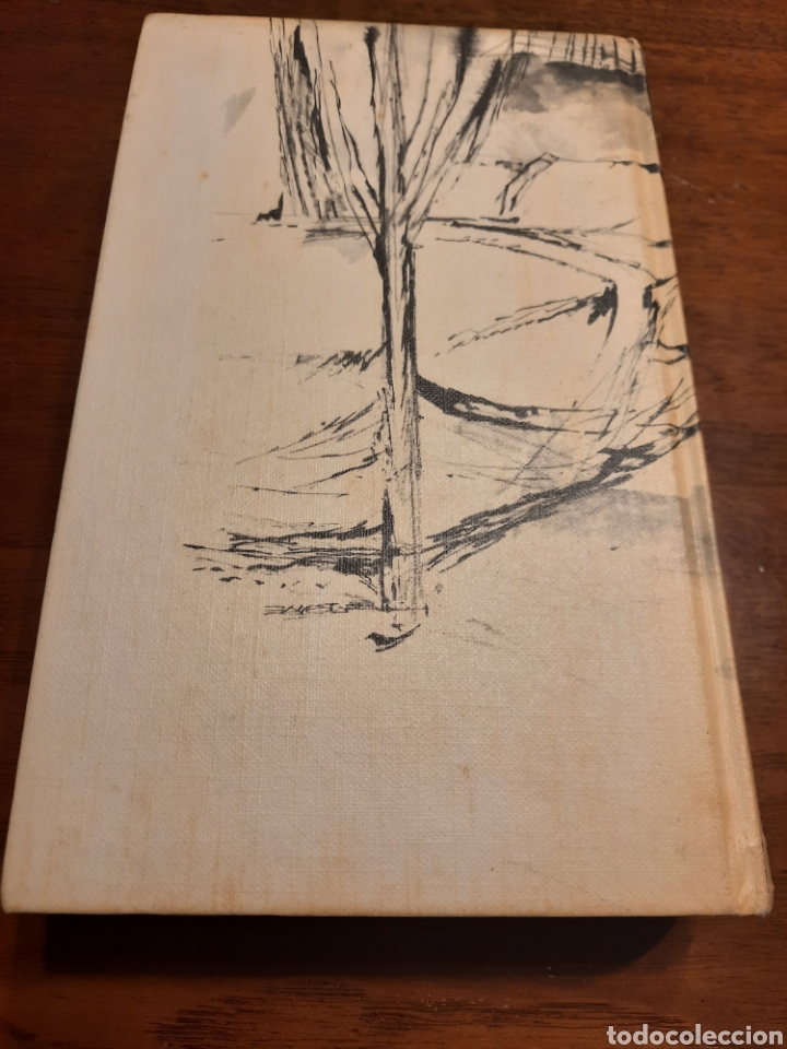 Libros de segunda mano: BOCCACCIO EL DECAMERON - Foto 2