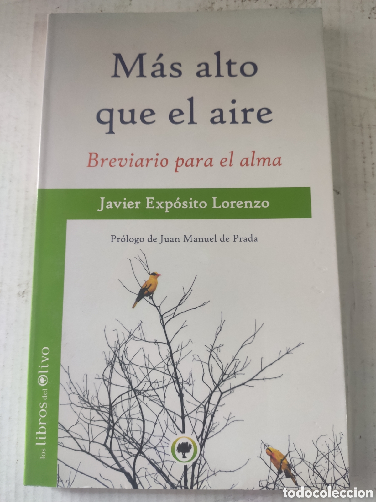 Libri di seconda mano: MAS ALTO QUE EL AIRE. BREVIARIO PARA EL ALMA. JOVIER EXPOSITO LORENZO
