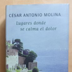 Libros de segunda mano: LUGARES DONDE SE CALMA EL DOLOR - CESAR ANTONIO MOLINA - CIRCULO DE LECTORES - 2009. Lote 379594559