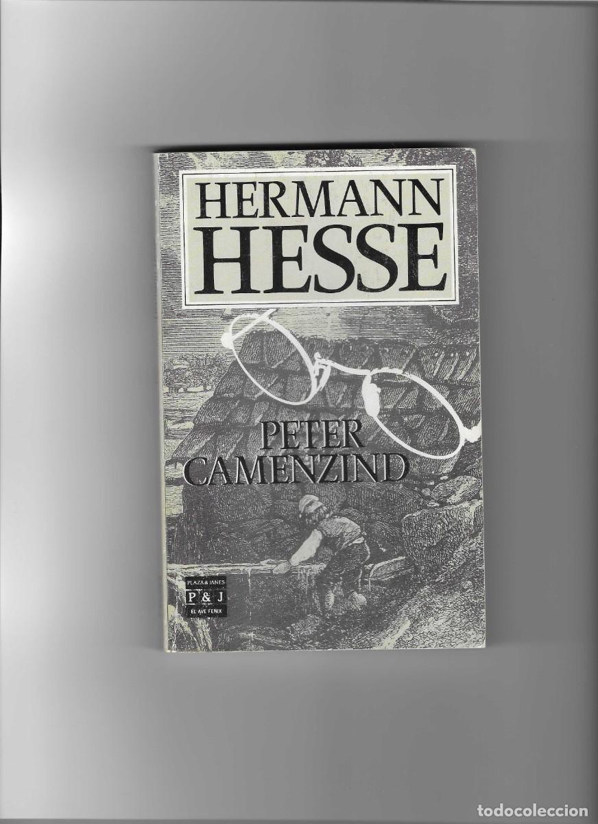 Libros de segunda mano: HERMANN HESSE. PETER CAMENZIND - Foto 1