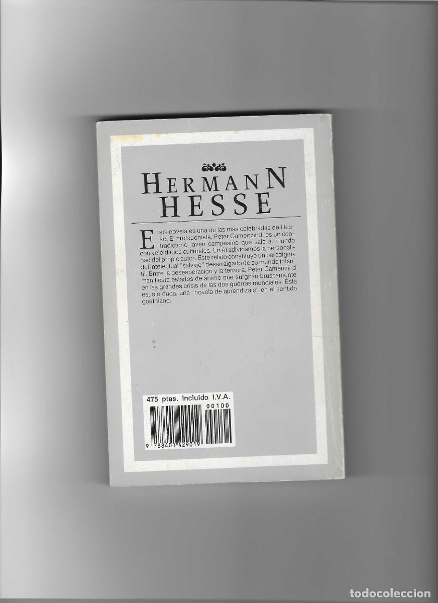 Libros de segunda mano: HERMANN HESSE. PETER CAMENZIND - Foto 2