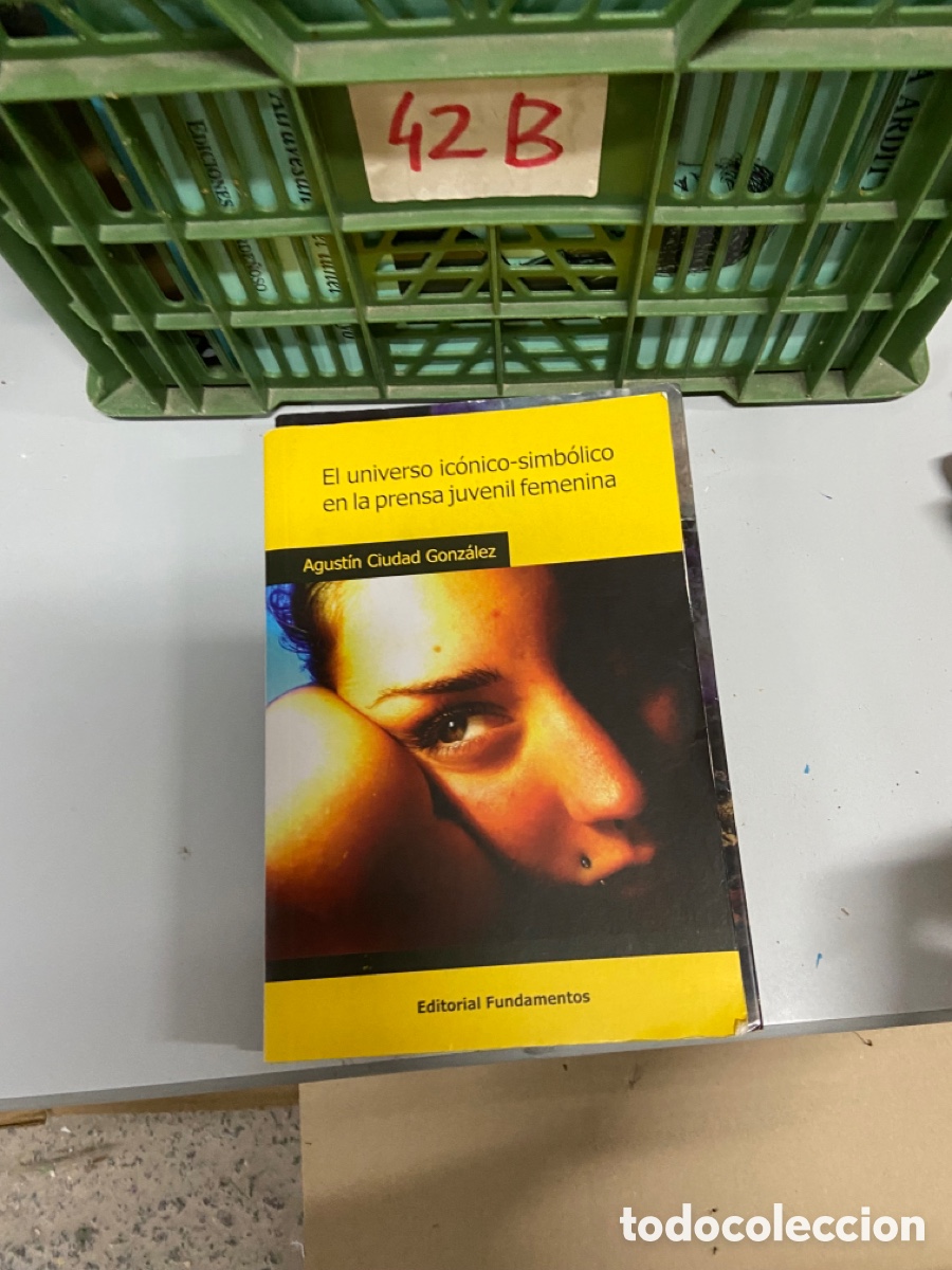 Livros em segunda m&atilde;o: Caja42B El universo ic&oacute;nico-simb&oacute;lico en la prensa juvenil femenina Agustin Ciudad Gonz&aacute;lez