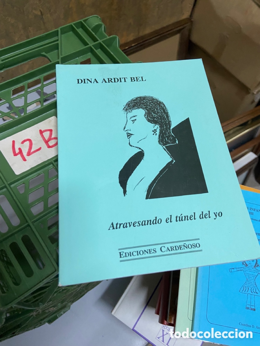 Livros em segunda m&atilde;o: Caja42B DINA ARDIT BEL Atravesando el t&uacute;nel del yo EDICIONES CARDE&Ntilde;OSO
