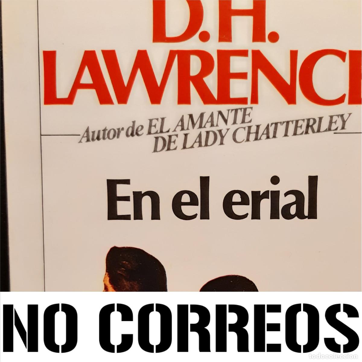 Libros de segunda mano: EN EL ERIAL - LIBRO - D.H. LAWRENCE - 1984 - Foto 3