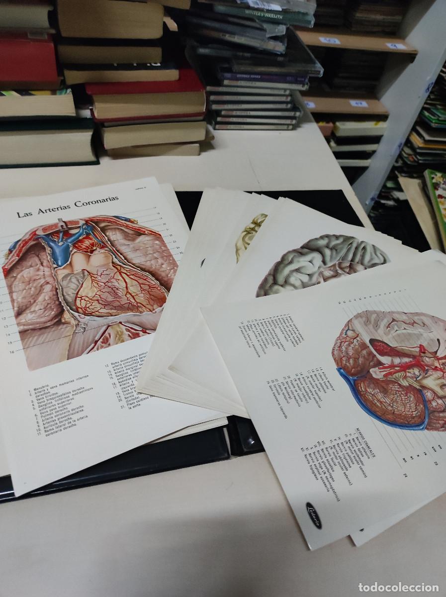 Libros de segunda mano: LAMINAS LEDERIE - Foto 1