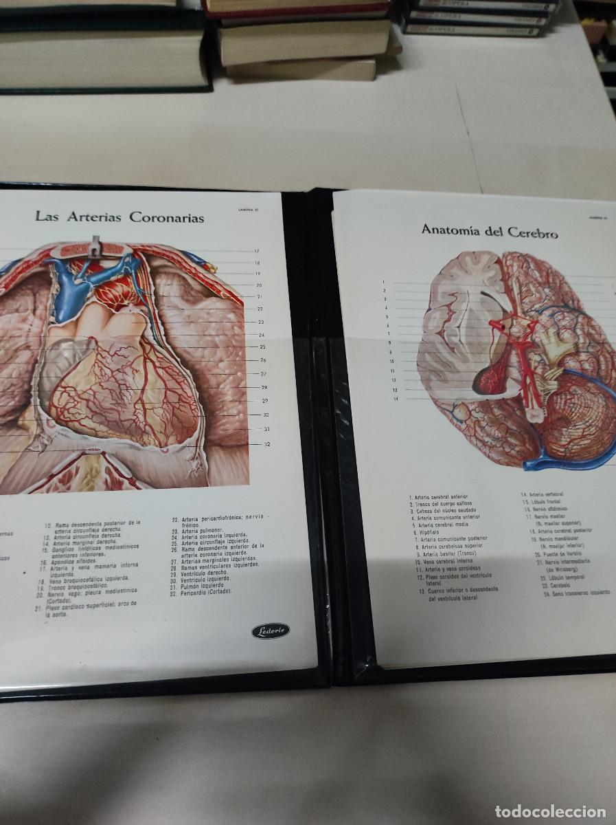 Libros de segunda mano: LAMINAS LEDERIE - Foto 3