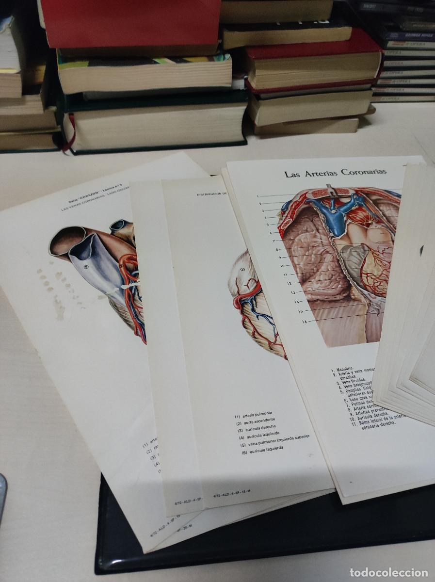 Libros de segunda mano: LAMINAS LEDERIE - Foto 4
