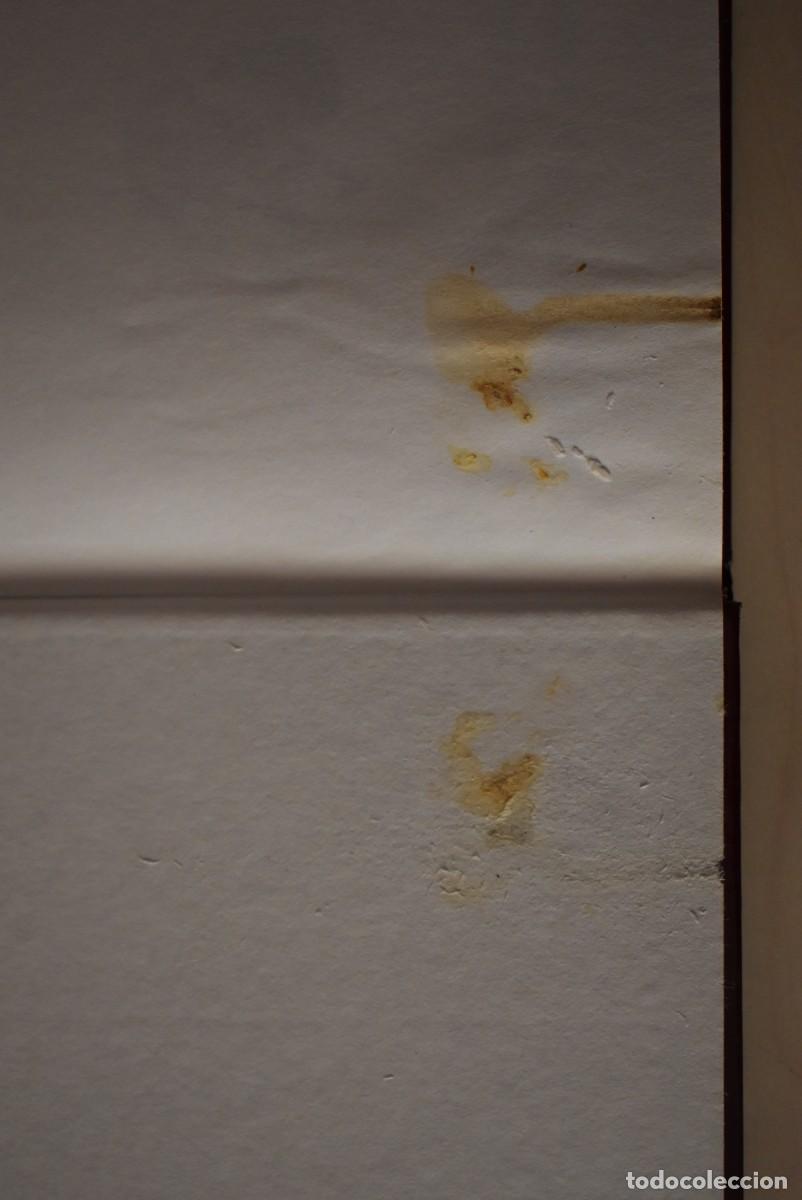 Libros de segunda mano: El cantar de M&iacute;o Cid. An&oacute;nimo - Foto 2