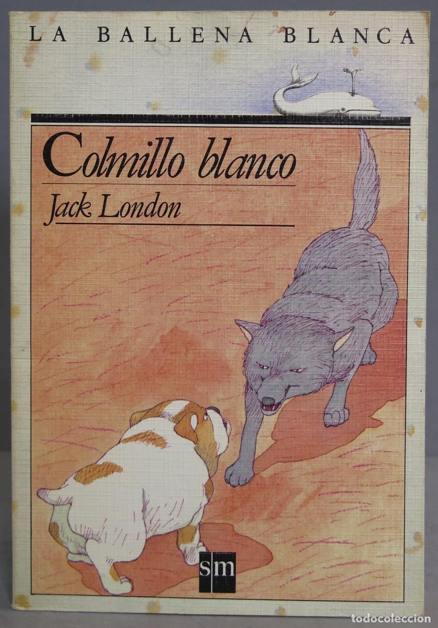 Libros de segunda mano: Colmillo blanco. Jack London - Foto 1