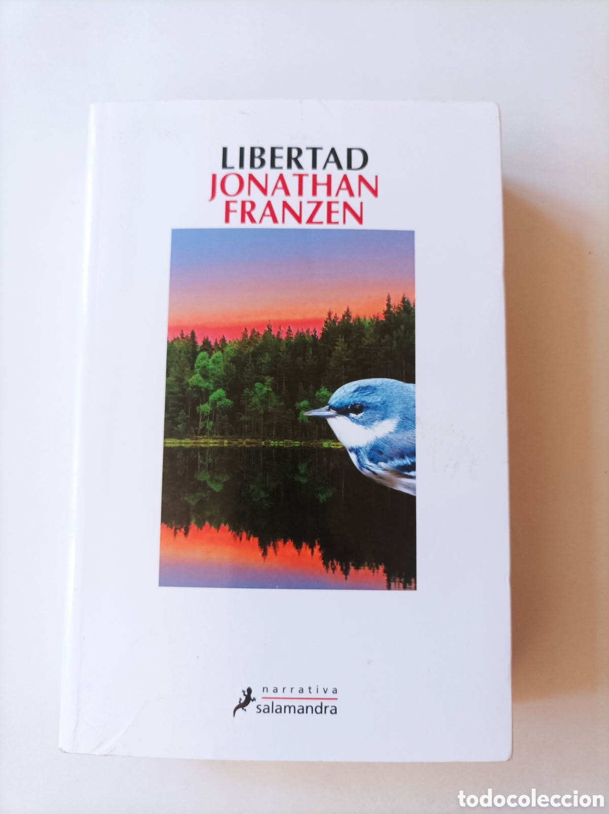 Libros de segunda mano: Libertad / Jonathan Franzen - Foto 1