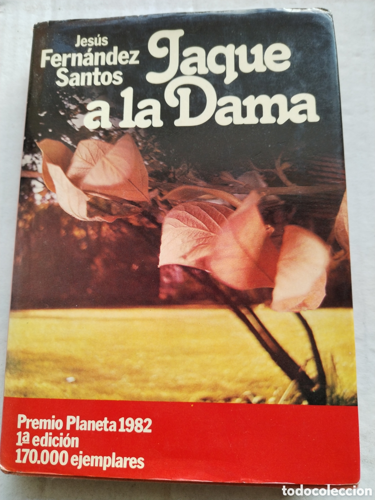 Libros de segunda mano: JAQUE A LA DAMA/LU&Iacute;S FERN&Aacute;NDEZ SANTOS - Foto 1