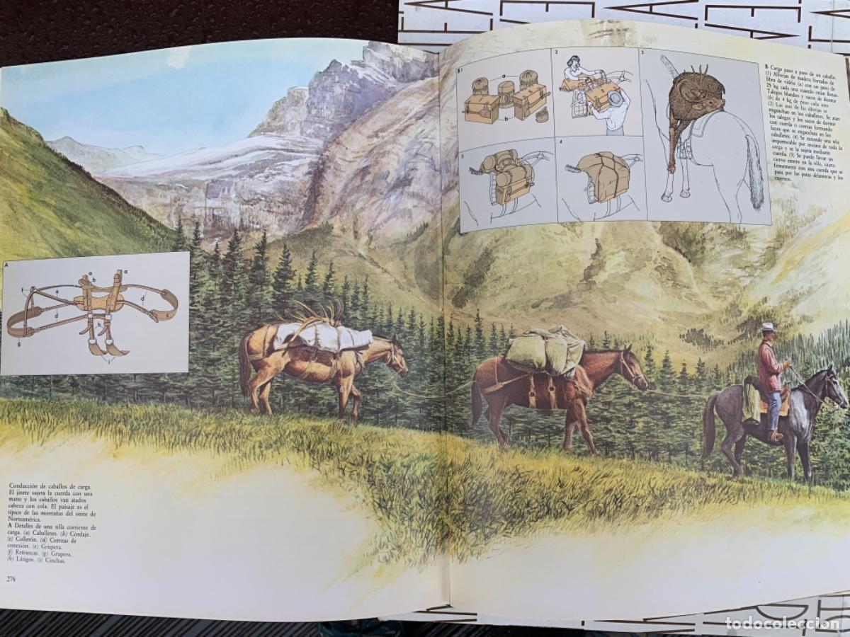 Libros de segunda mano: El gran libro de la Caza - Foto 5