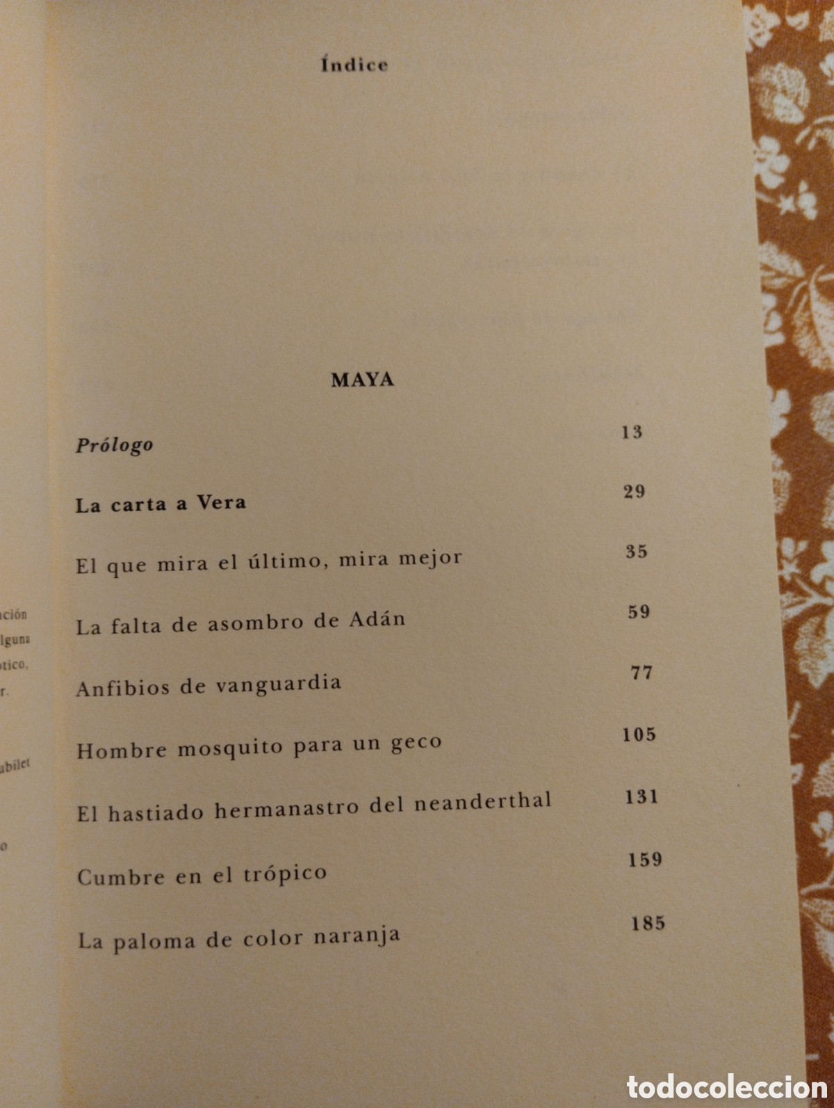 Libros de segunda mano: Maya, Jostein Gaarder, editorial Siruela - Foto 4