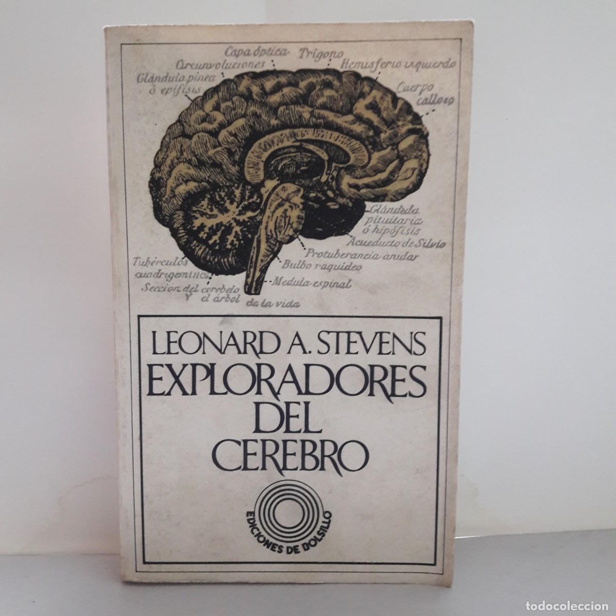 Libros de segunda mano: Libro 1974 Exploradores del cerebro Leonard Stevens - Foto 1