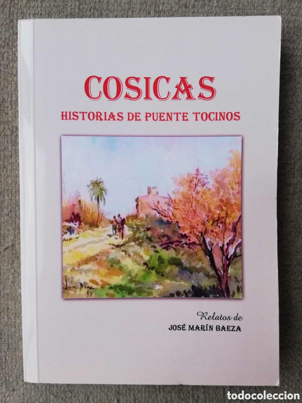 Libros de segunda mano: Cosicas. Historias de Puente Tocinos. Relatos de Jos&eacute; Mar&iacute;n Baeza
