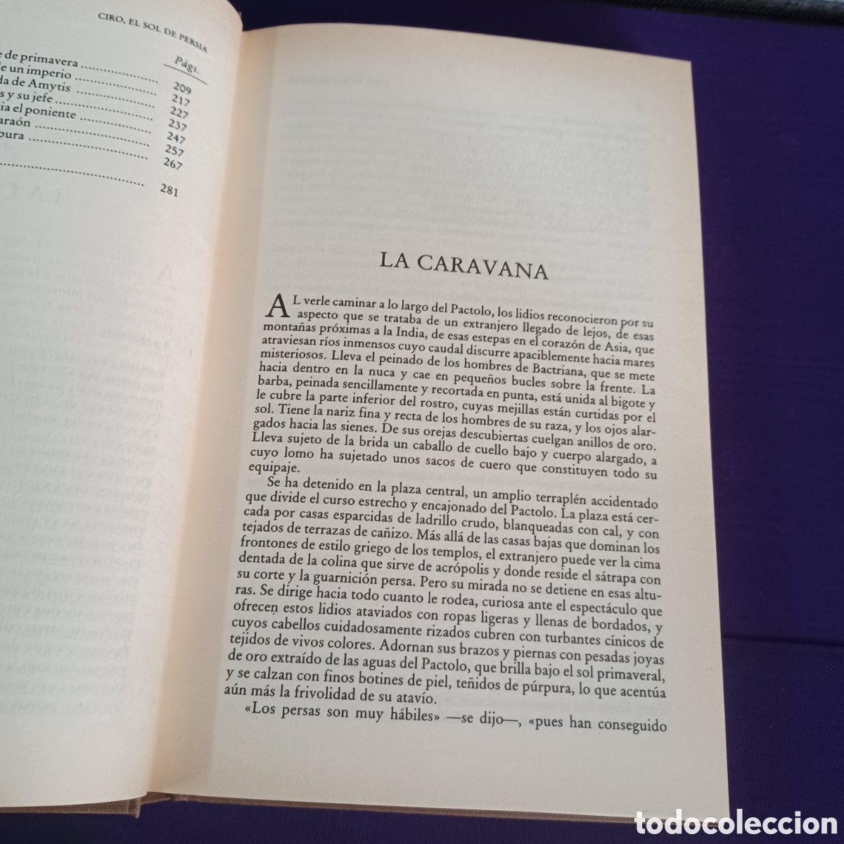 Libros de segunda mano: CIRO EL SOL DE PERSIA - GUY RACHET - Foto 7