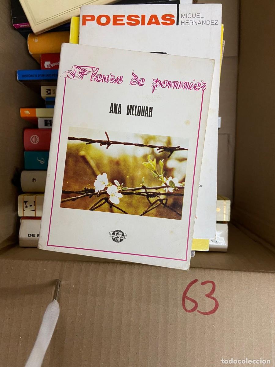 Livres d'occasion: CAJA63 ANA MELOUAH, FLORS DE POMMIER