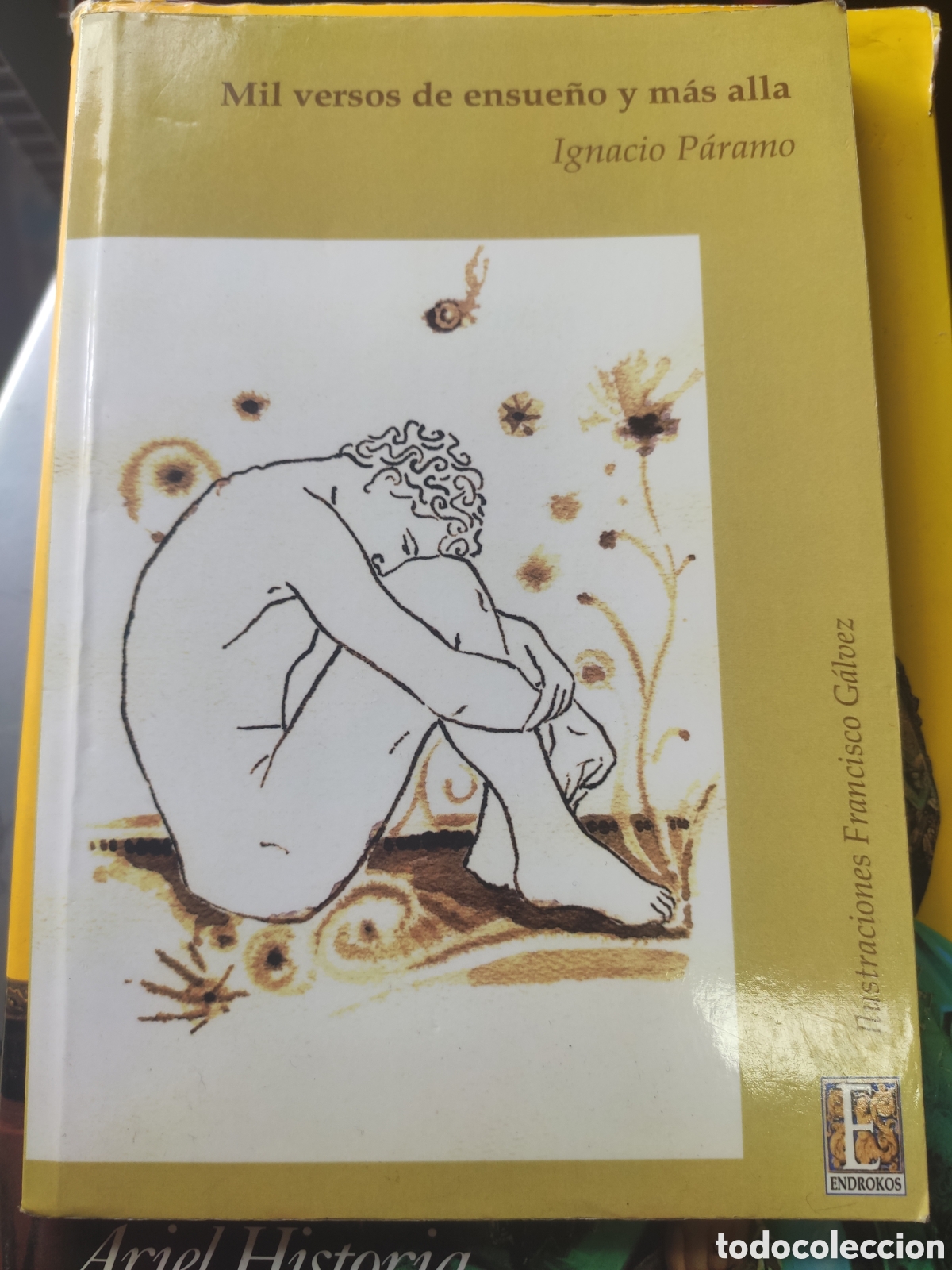 Gebrauchte B&uuml;cher: MIL VERSOS DE ENSUE&Ntilde;O Y MAS ALLA. IGNACIO PARAMO