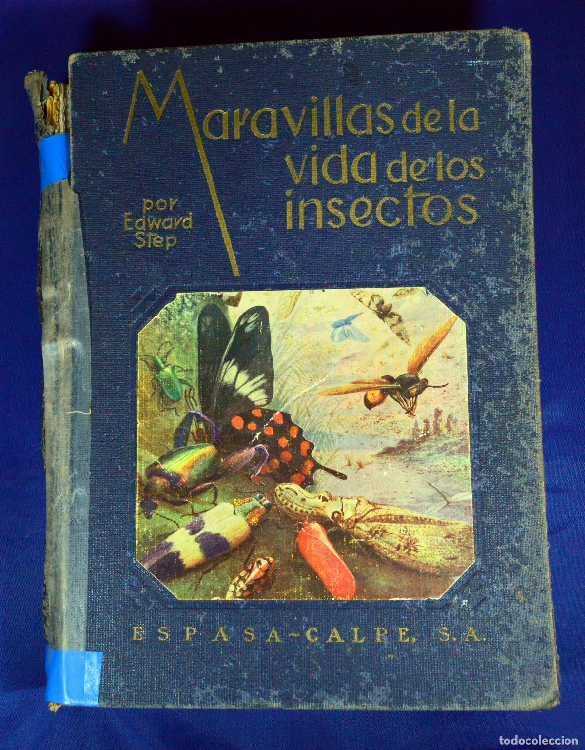 Libros de segunda mano: Maravillas de la vida de los INSECTOS - Foto 1