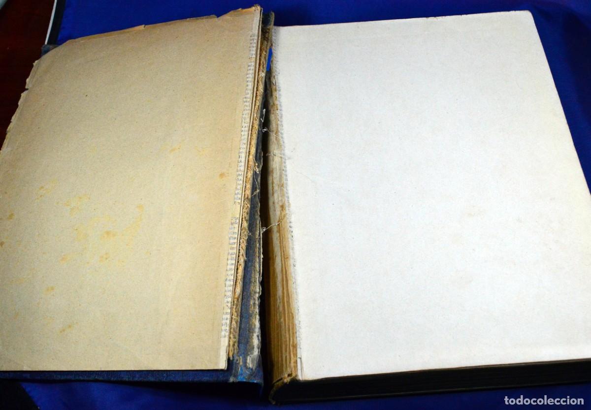 Libros de segunda mano: Maravillas de la vida de los INSECTOS - Foto 3
