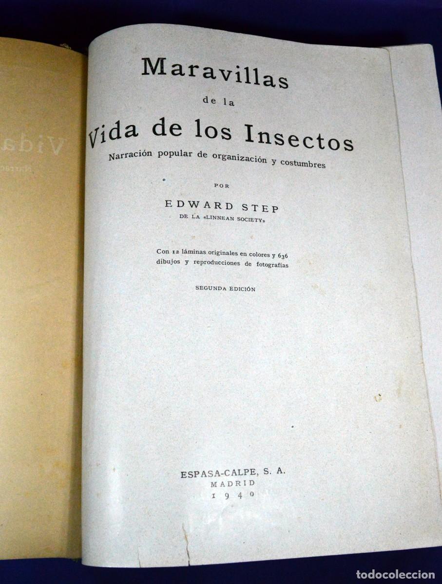 Libros de segunda mano: Maravillas de la vida de los INSECTOS - Foto 5