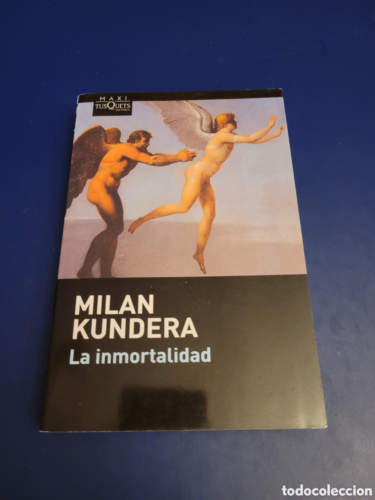 Libros de segunda mano: LA INMORTALIDAD MILAN KUNDERA MAXI TUSQUETS 2014 - Foto 1