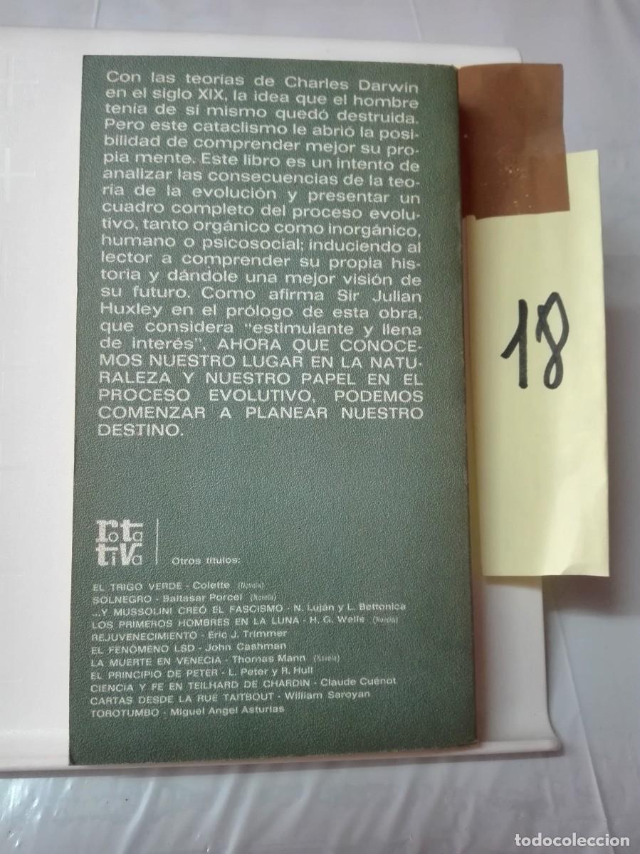 Libros de segunda mano: LA MENTE CAMBIANTE JOHN RODDAM (NOVELA) - Foto 2
