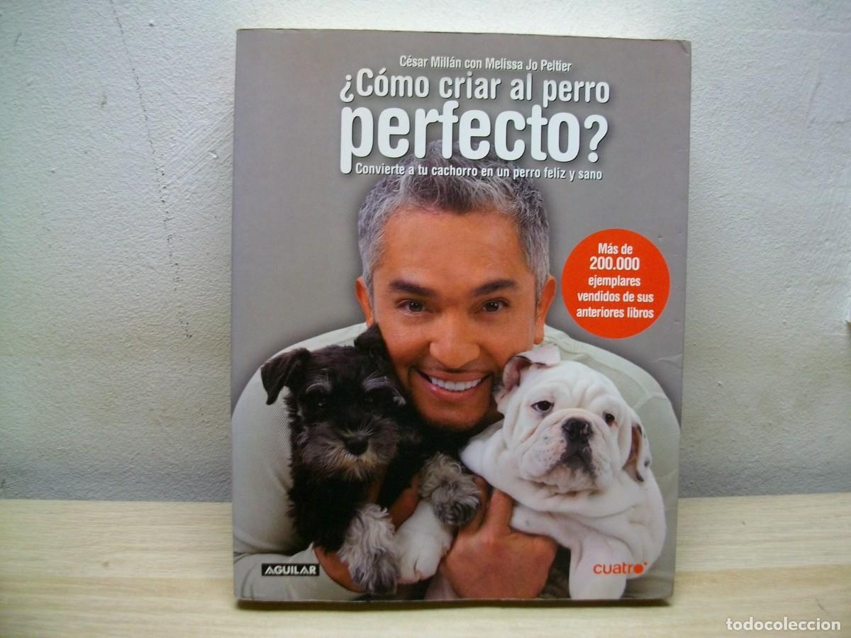 Gebrauchte B&uuml;cher: CESAR MILLAN &iquest;C&oacute;mo criar al perro perfecto? Tapa blanda 2010 de Jim & Jo Peltier Melissa Milio