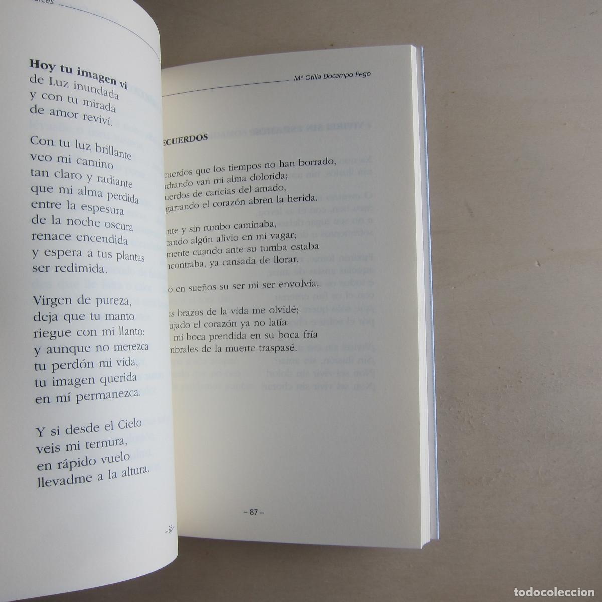 Libros de segunda mano: RA&Iacute;CES - MANUEL DOCAMPO PEGO - Foto 3