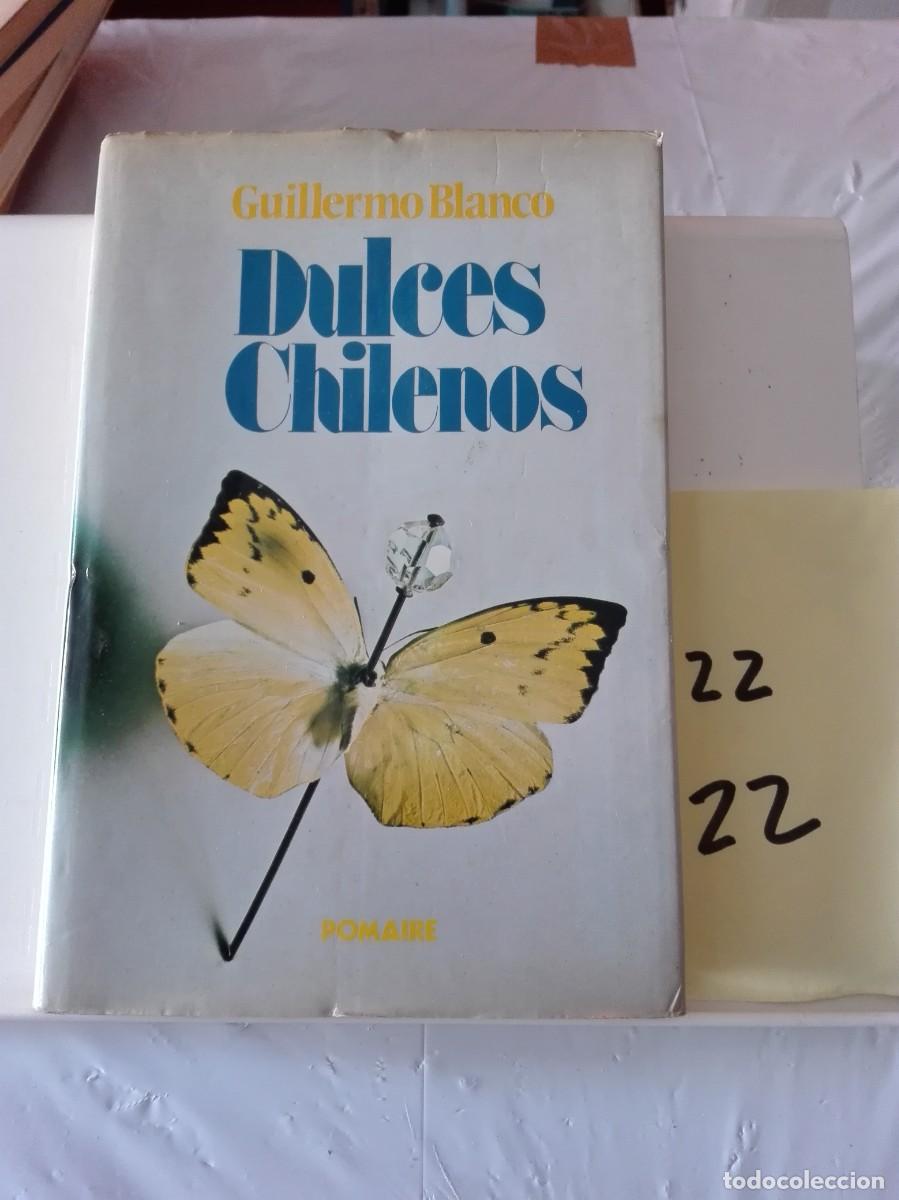 Libros de segunda mano: DULCES CHILENOS GUILLERMO BLANCO (NOVELA) - Foto 1