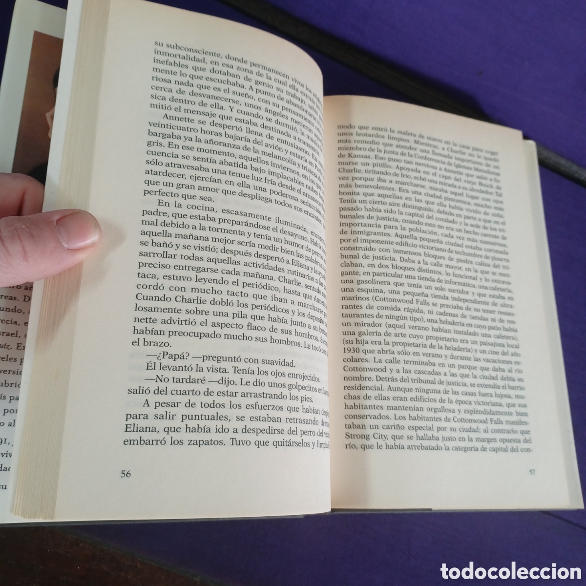 Libros de segunda mano: DAMA DE NOCHE - JANICE GRAHAM - Foto 5