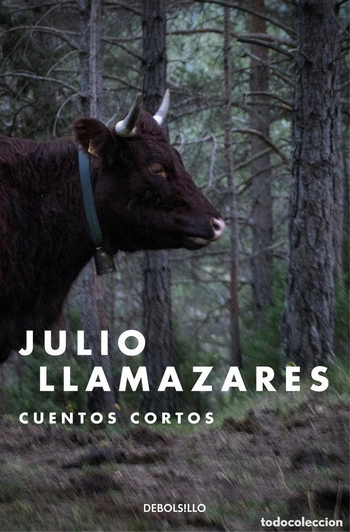 Libros de segunda mano: CUENTOS CORTOS - JULIO LLAMAZARES - Foto 1