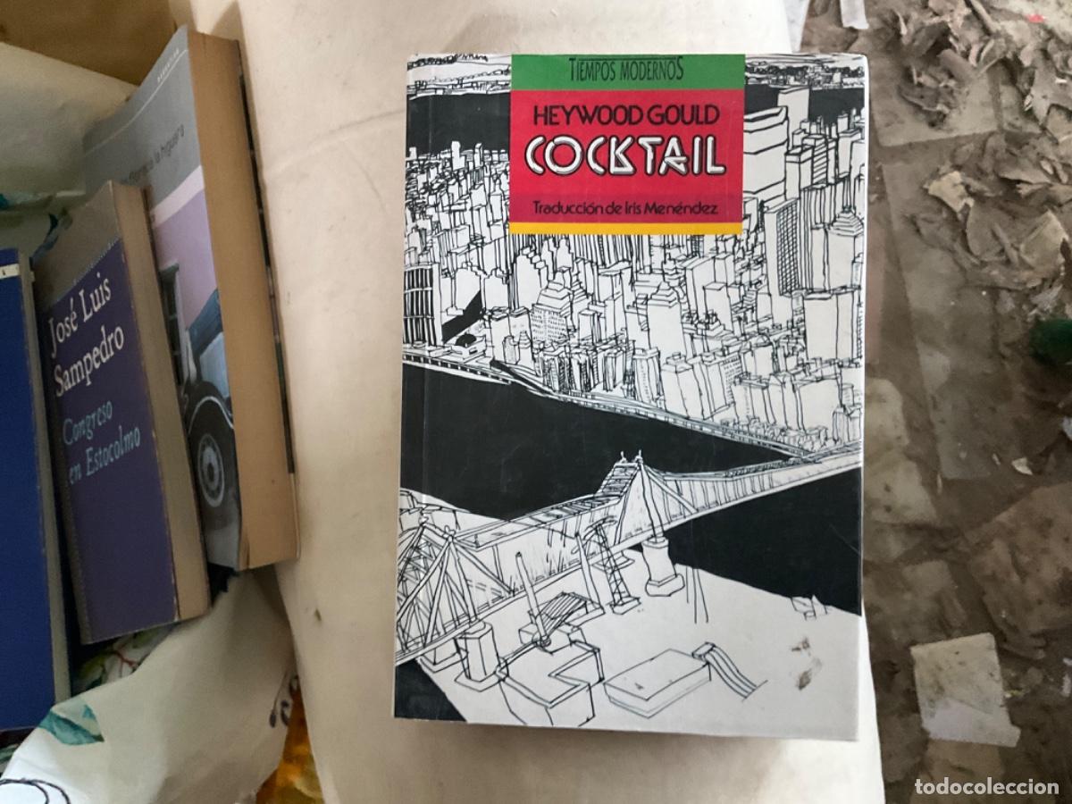 Libros de segunda mano: COCKTAIL. HEYWOOD GOULD. TIEMPOS MODERNOS. R&Uacute;STICA