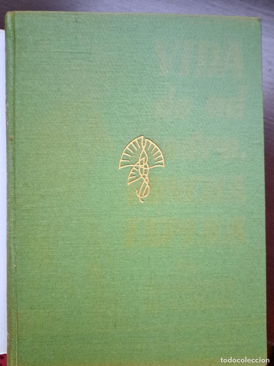 Libros de segunda mano: VIDA DE MI MADRE,CONCHA ESPINA - Foto 4