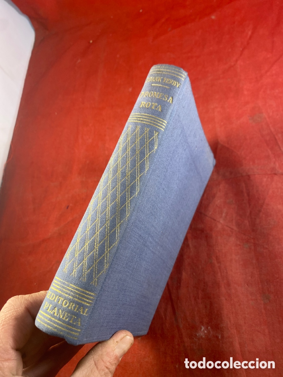 Libros de segunda mano: PROMESA ROTA NOVELA - Foto 2