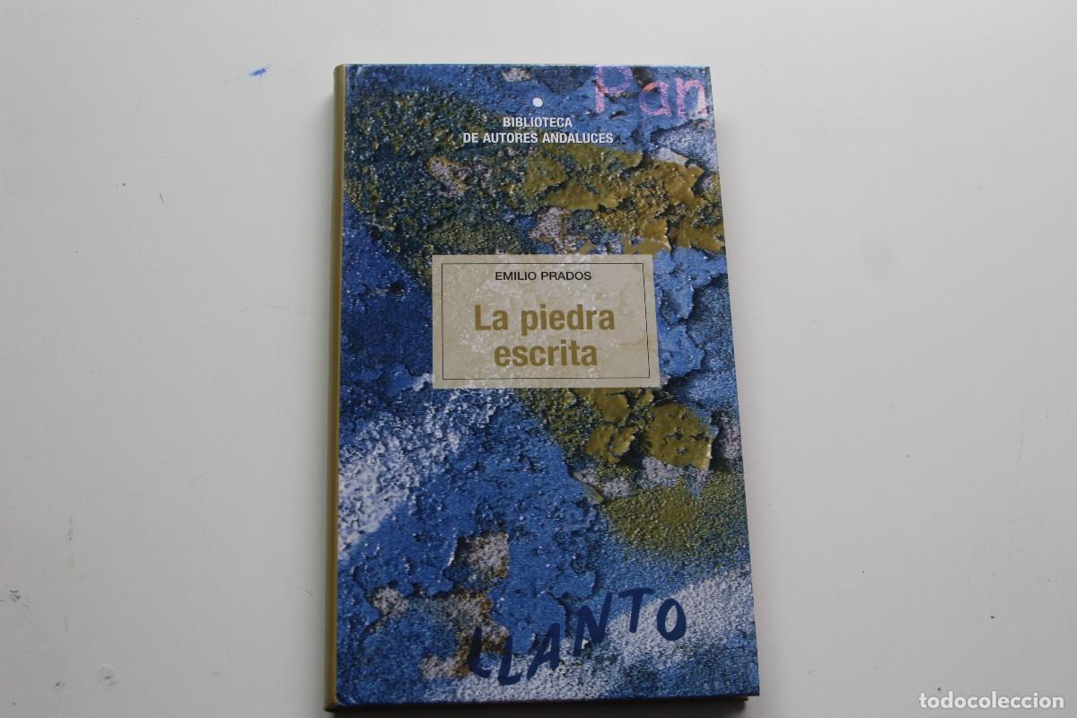 Libros de segunda mano: LA PIEDRA ESCRITA - Foto 1