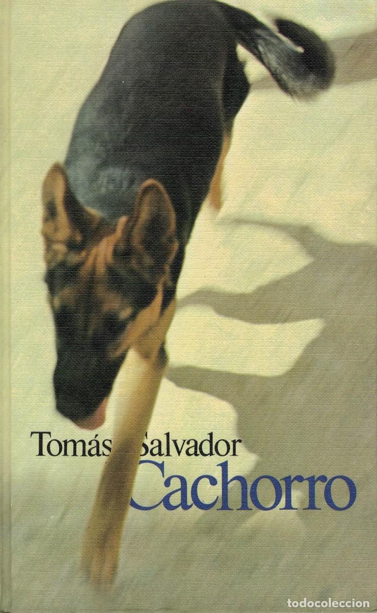 Libros de segunda mano: Tom&aacute;s Salvador, Cachorro - Foto 1